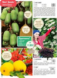 14. stránka Starkl letáku