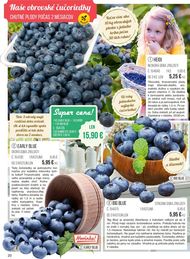 20. stránka Starkl letáku