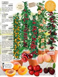 25. stránka Starkl letáku