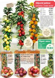 31. stránka Starkl letáku