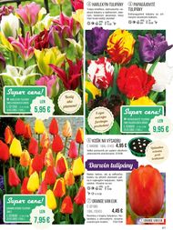 41. stránka Starkl letáku