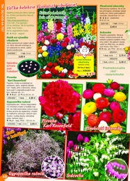 48. stránka Starkl letáku