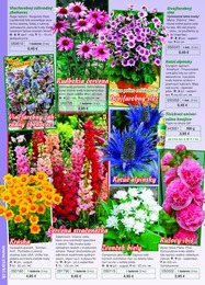 54. stránka Starkl letáku