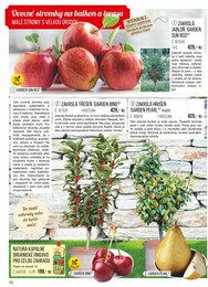 10. stránka Starkl letáku