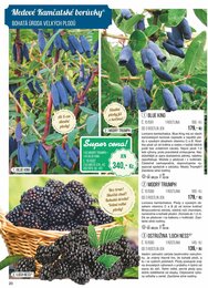 20. stránka Starkl letáku