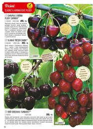 30. stránka Starkl letáku