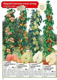 36. stránka Starkl letáku