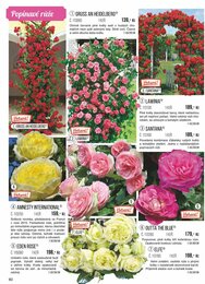 60. stránka Starkl letáku