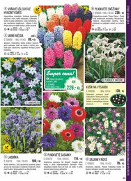 85. stránka Starkl letáku