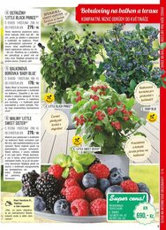 9. stránka Starkl letáku