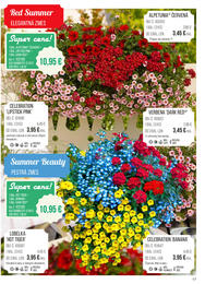 17. stránka Starkl letáku