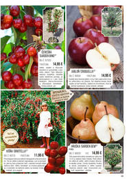 39. stránka Starkl letáku