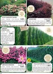 100. stránka Starkl letáku