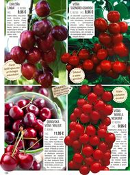 126. stránka Starkl letáku