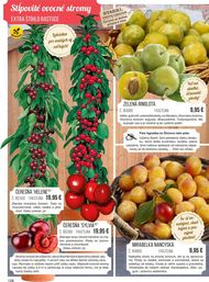 128. stránka Starkl letáku