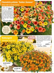 15. stránka Starkl letáku