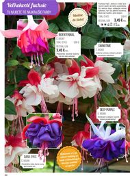 20. stránka Starkl letáku