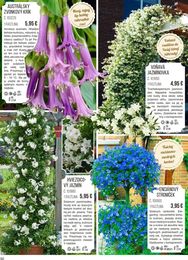 30. stránka Starkl letáku