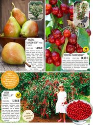 45. stránka Starkl letáku