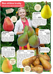 17. stránka Starkl letáku