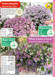 17. stránka Starkl letáku