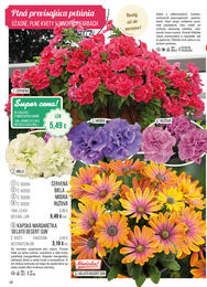 18. stránka Starkl letáku