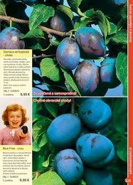 115. stránka Starkl letáku