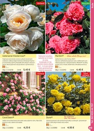 89. stránka Starkl letáku