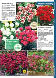 37. stránka Starkl letáku