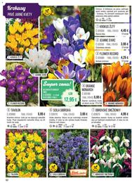 62. stránka Starkl letáku