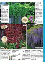 75. stránka Starkl letáku