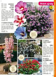 45. stránka Starkl letáku