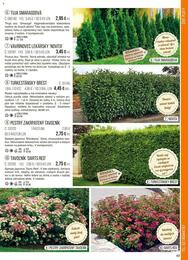 49. stránka Starkl letáku