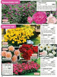 56. stránka Starkl letáku