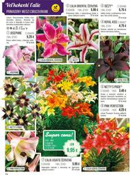 74. stránka Starkl letáku