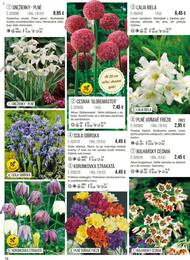 78. stránka Starkl letáku