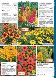 43. stránka Starkl letáku