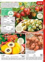 75. stránka Starkl letáku