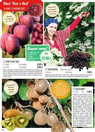 80. stránka Starkl letáku