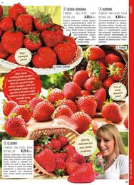 85. stránka Starkl letáku