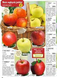 88. stránka Starkl letáku