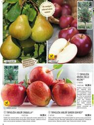 8. stránka Starkl letáku