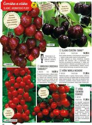 90. stránka Starkl letáku