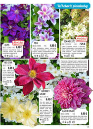 45. stránka Starkl letáku