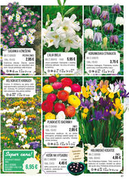 87. stránka Starkl letáku