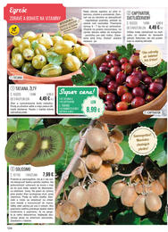 124. stránka Starkl letáku