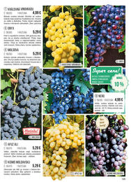 129. stránka Starkl letáku