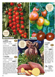 30. stránka Starkl letáku