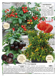 32. stránka Starkl letáku