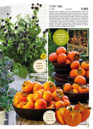 37. stránka Starkl letáku